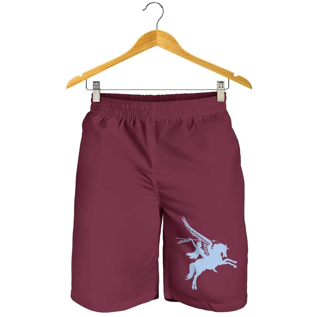 shorts Pegasus Men's Shorts