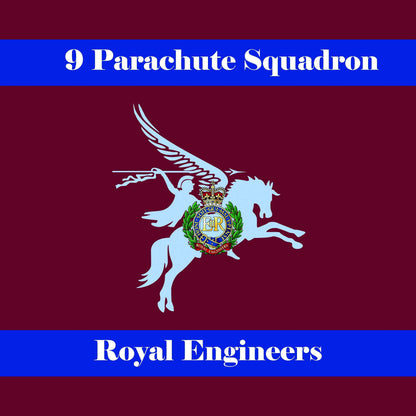 cushion cover 9 Parachute Squadron RE Cushion Cover
